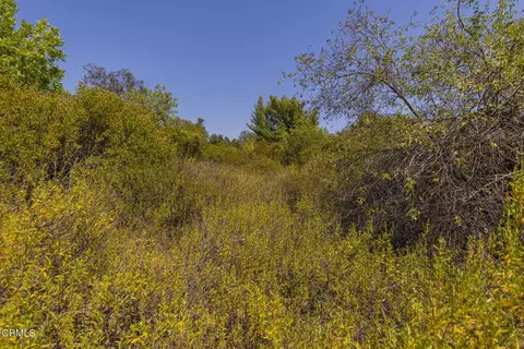 1 Hendrickson Rd, Ojai, CA 93023 photo 7