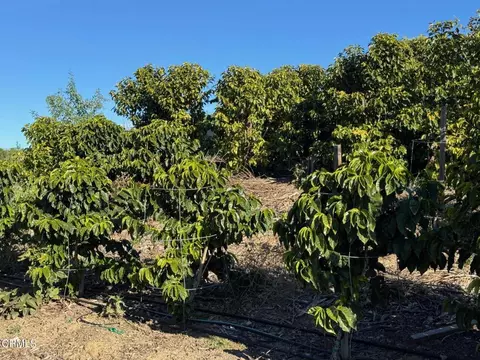 4305 Groves Pl, Somis, CA 93066