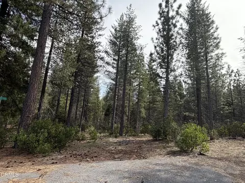 1 Kirby Ct, Burney, CA 96013 photo 3