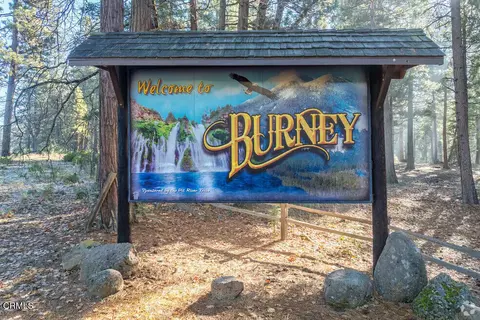 3 Kirby Ct, Burney, CA 96013 photo 3