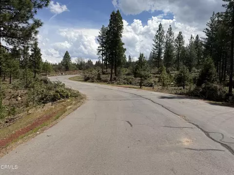 3 Kirby Ct, Burney, CA 96013 photo 3