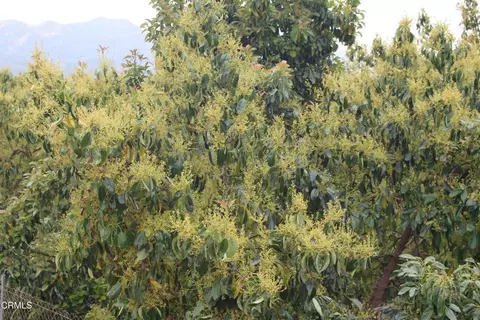 0 Camulos St, Piru, CA 93040