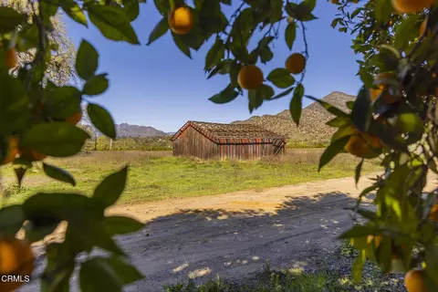 1201 Grand Ave, Ojai, CA 93023 photo 3