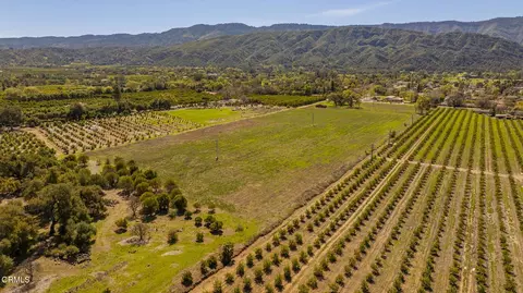 1201 Grand Ave, Ojai, CA 93023 photo 30
