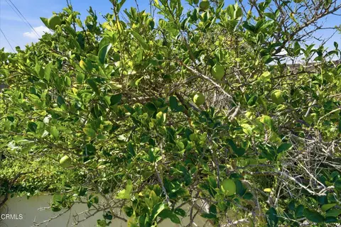 Other - 39 La Suen Dr, Camarillo, CA 93010 photo 6 of 7