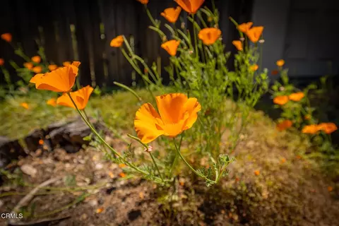 Other - 1264 Ferrara Dr, Ojai, CA 93023 photo 3 of 4