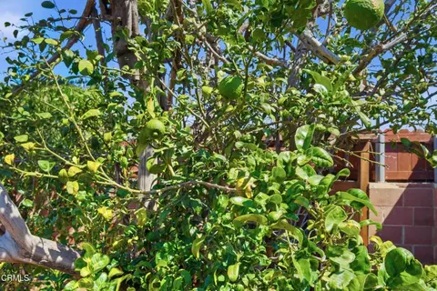 Other - 2024 S J St, Oxnard, CA 93033 photo 16 of 16