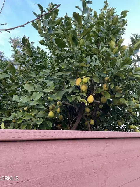 Other - 211 Fox St, Ojai, CA 93023 photo 7 of 12