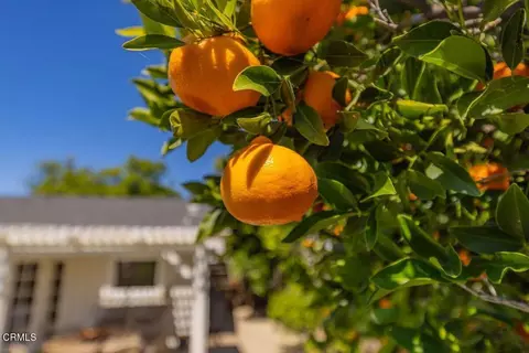 Exterior - 1402 Drown Ave, Ojai, CA 93023 photo 6 of 16