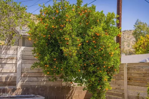 Exterior - 1402 Drown Ave, Ojai, CA 93023 photo 5 of 16