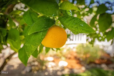 Other - 919 E Matilija St, Ojai, CA 93023 photo 6 of 6
