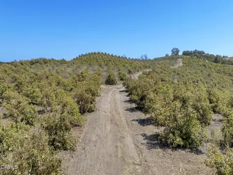 Other - 7905 Balcom Canyon Rd, Somis, CA 93066 photo 20 of 22