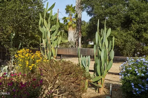 Exterior - 918 El Toro Rd, Ojai, CA 93023 photo 5 of 17