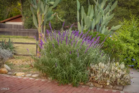 Exterior - 918 El Toro Rd, Ojai, CA 93023 photo 14 of 17