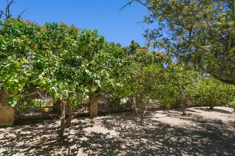 Exterior - 10539 Chippenham Rd, Santa Rosa Valley, CA 93012 photo 11 of 20