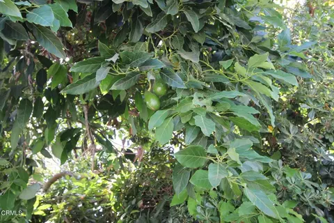 Other - 3120 Belair Ct, Camarillo, CA 93010 photo 6 of 7