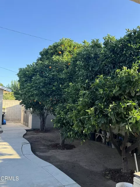 Exterior - 808 Blaine Ave, Fillmore, CA 93015 photo 7 of 8