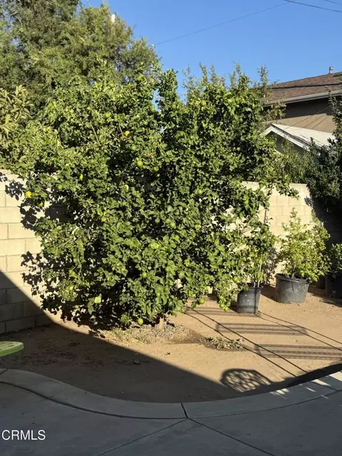 Exterior - 808 Blaine Ave, Fillmore, CA 93015 photo 8 of 8