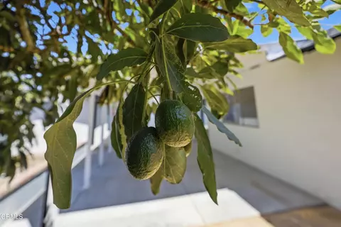 Other - 3631 La Costa Pl, Oxnard, CA 93033 photo 7 of 7