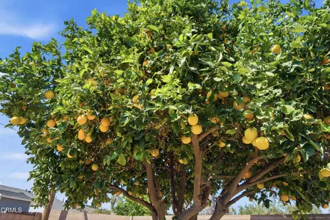 Other - 1009 Inman Cir, Simi Valley, CA 93065 photo 9 of 13