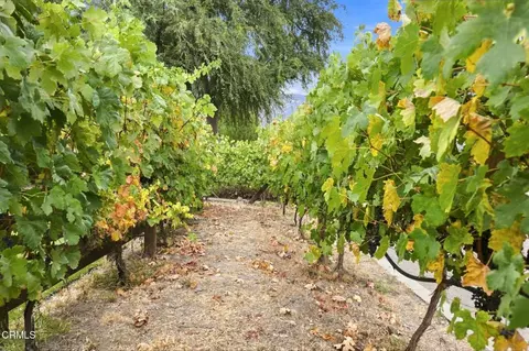 Other - 211 Shady Ln, Ojai, CA 93023 photo 12 of 17