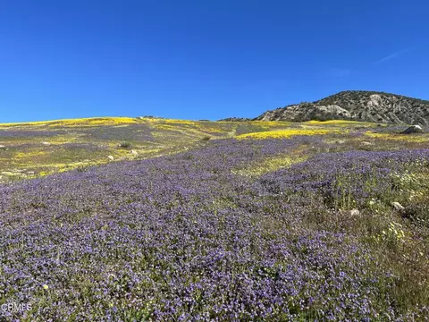 Other - 29433 Highway 33, Maricopa, CA 93252 photo 9 of 34