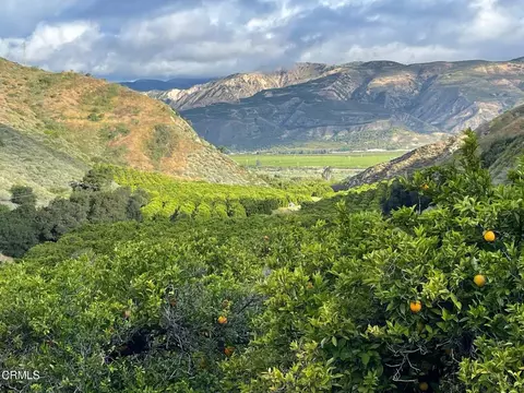 Other - 2500 E Guiberson Rd, Fillmore, CA 93015 photo 2 of 14