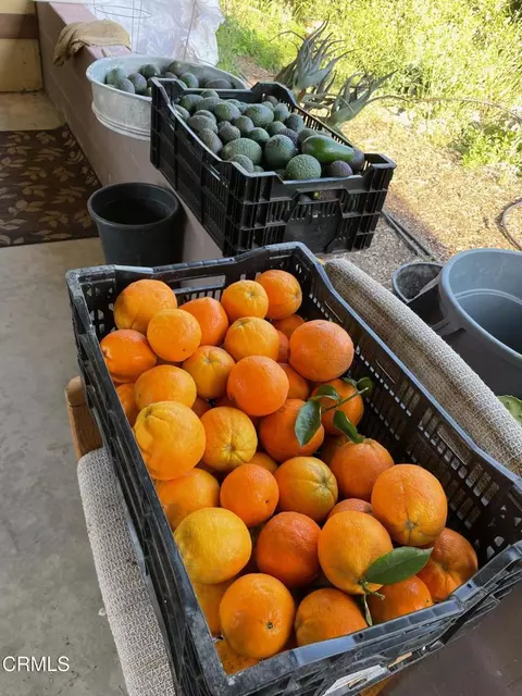 Other - 2500 E Guiberson Rd, Fillmore, CA 93015 photo 5 of 14