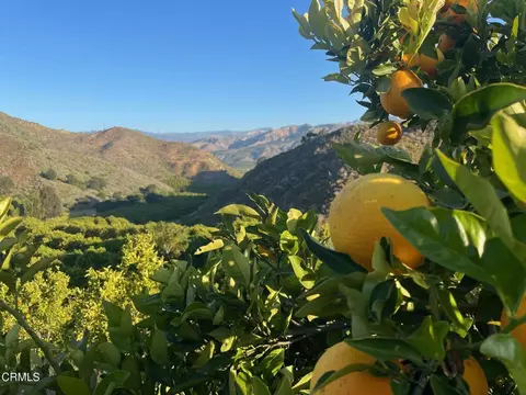 Other - 2500 E Guiberson Rd, Fillmore, CA 93015 photo 13 of 14