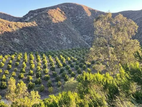 Other - 2500 E Guiberson Rd, Fillmore, CA 93015 photo 9 of 14