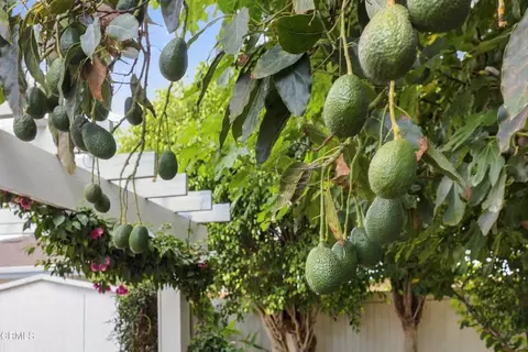Other - 4400 Hamilton Ave, Oxnard, CA 93033 photo 7 of 7