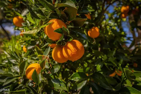 Other - 708 Cuyama Rd, Ojai, CA 93023 photo 8 of 9