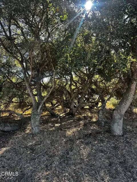 1990 Tularosa Rd #4, Lompoc, CA 93436 photo 28