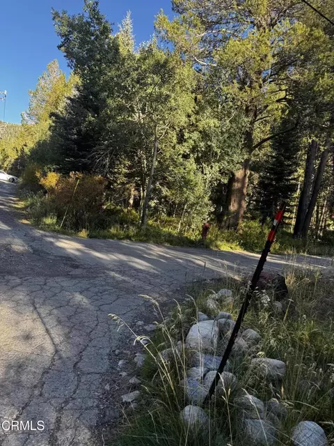 Aspen Grove Lane, June Lake, CA 93529