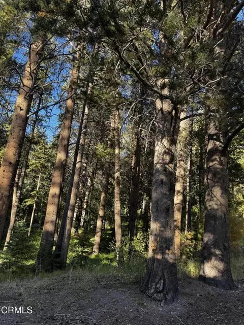 Minaret Road, June Lake, CA 93529