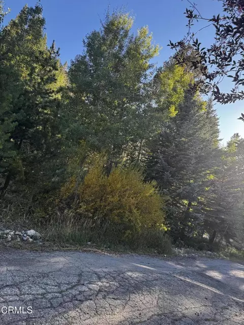 Minaret Road, June Lake, CA 93529