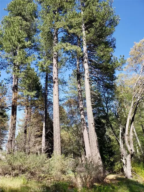 29531 Little Bear Creek Rd, Cedar Glen, CA 92321