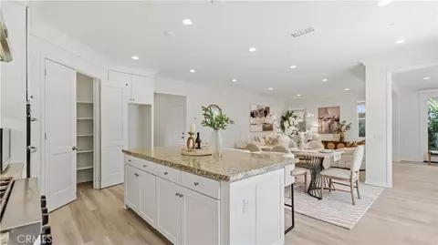 113 Chestnut Grv, Irvine, CA 92620 photo 12