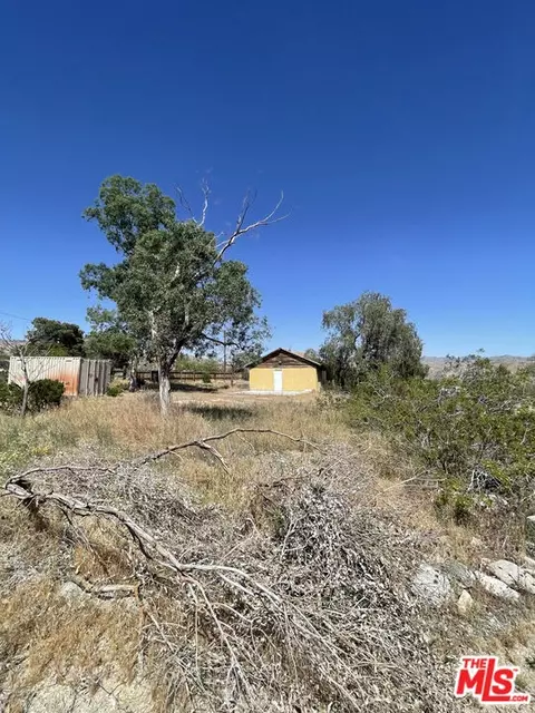 50991 Canyon Rd, Morongo Valley, CA 92256 photo 6