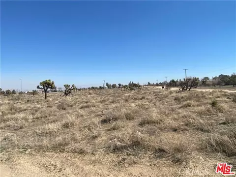11025 Acanthus St, Phelan, CA 92329