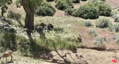 0 Lebec Oaks Rd, Lebec, CA 93243 photo 12