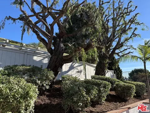 4479 Salisbury Dr, Carlsbad, CA 92010 photo 18