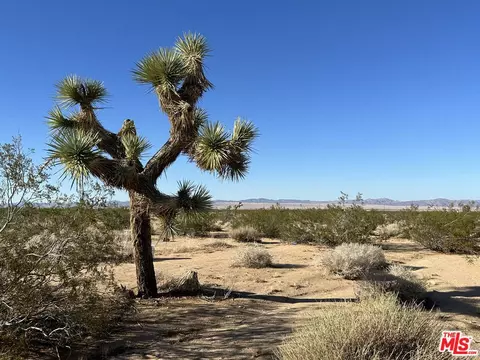 779 Sunset Rd, Joshua Tree, CA 92252 photo 4