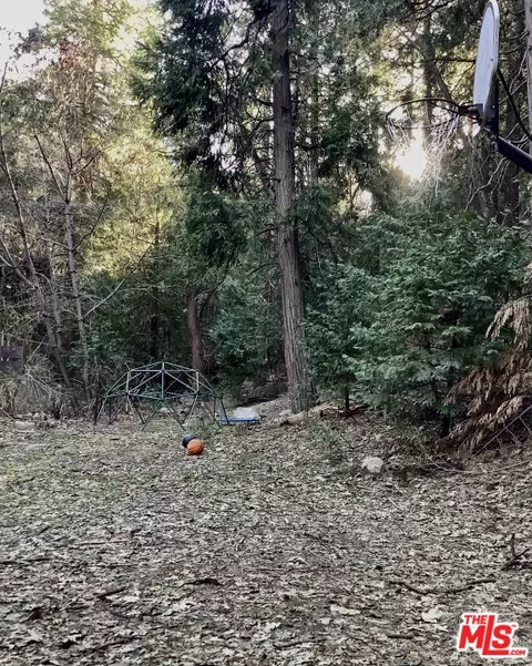 25005 Basel Dr, Crestline, CA 92325 photo 12