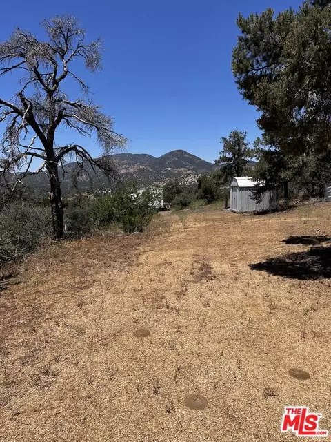 11501 Appaloosa Rd, Tehachapi, CA 93561 photo 5