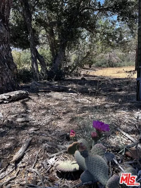 11501 Appaloosa Rd, Tehachapi, CA 93561 photo 3