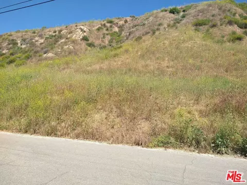 29673 Silver St, Castaic, CA 91384
