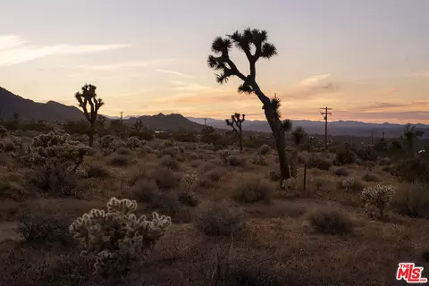 View/Area - 8989 Tortuga Trl, Joshua Tree, CA 92252 photo 1 of 2