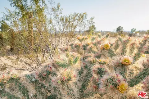 Other - 665 Cherokee Trl, Yucca Valley, CA 92284 photo 6 of 6