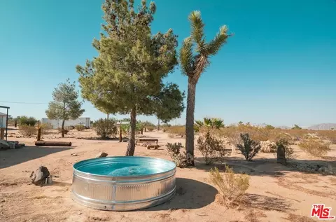 Exterior - 665 Cherokee Trl, Yucca Valley, CA 92284 photo 6 of 6